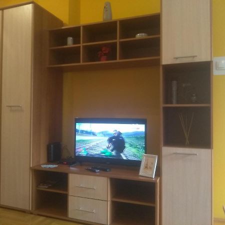 Apartman Marina Sa Garazom Novi Sad Eksteriør bilde