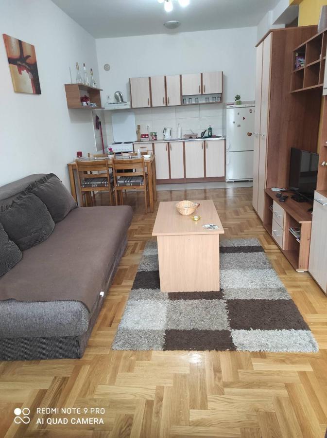 Apartman Marina Sa Garazom Novi Sad Eksteriør bilde