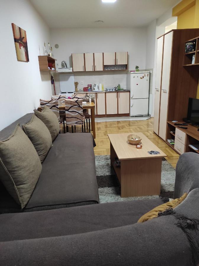 Apartman Marina Sa Garazom Novi Sad Eksteriør bilde