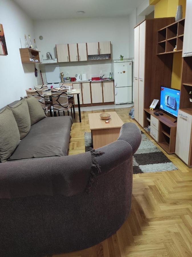 Apartman Marina Sa Garazom Novi Sad Eksteriør bilde
