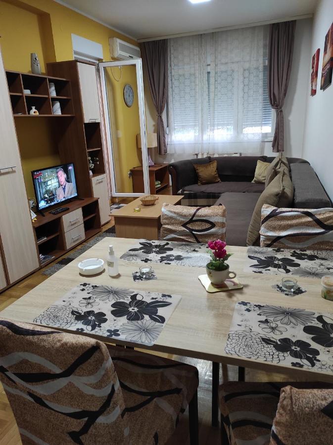 Apartman Marina Sa Garazom Novi Sad Eksteriør bilde