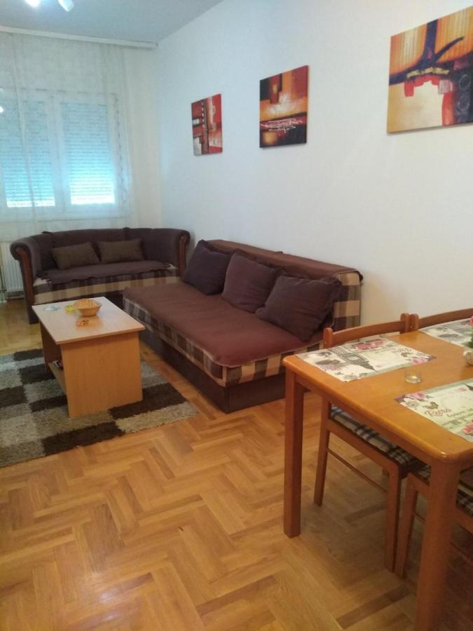 Apartman Marina Sa Garazom Novi Sad Eksteriør bilde