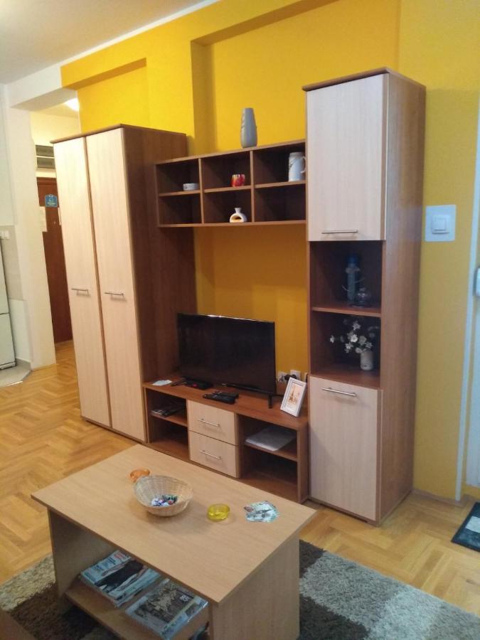 Apartman Marina Sa Garazom Novi Sad Eksteriør bilde